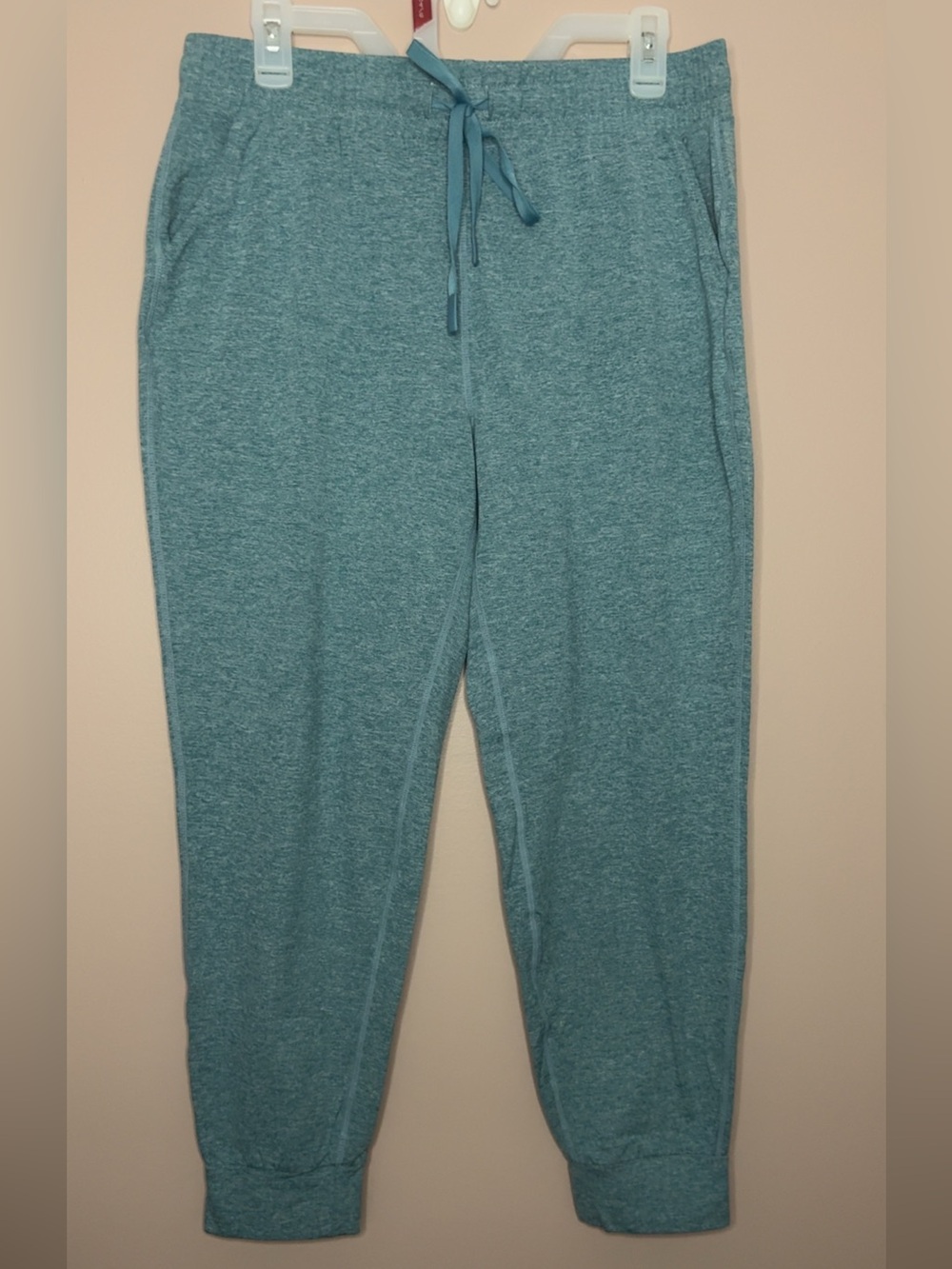 Thread & Supply Teal Heather Jogger Pants